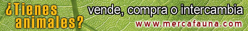 compra venta de animales compra venta de animales